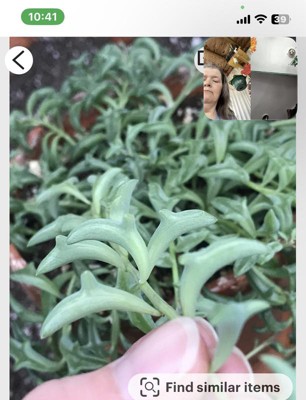 Guest review image 2 of 6, zoom in