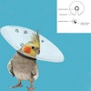 KVP SAF-T-SHIELD E-Collars for Birds 6" Diameter (2" - 2.75") - 3 of 3