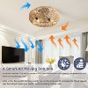 Vynxaria 22 Inch New Boho Caged Ceiling Fan With Enclosed Rattan 6 Speeds Remote Control Indoor Outdoor For Living Room - 3 of 4
