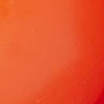Wild Orange
