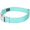 Country Brook Petz Premium Nylon Dog Collar with Metal Buckle for Small Medium Large Breeds - Vibrant 30+ Color Selection - 4 of 4