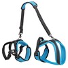 Pet Dog Carry Sling,Pet Legs Support Rehabilitation Lift Harness For Disabled Injured Elderly Dog Joint Injuries Arthritis - 2 of 4