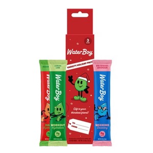 Waterboy Electrolyte Powder - Stocking Stuffer Variety Pack - 3ct - 1 of 3