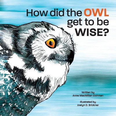 How Did the Owl Get to Be Wise - by  Anne MacMillan Eichman (Paperback)