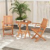 Tangkula Patio Wood Folding Chair Set of 2 w/ Armrests & Slatted Seat for Backyard - 2 of 4
