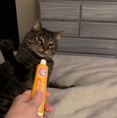 Arm and hammer cat hot sale toothpaste