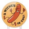 A Wiener Winner Is You Hot Dog Funny Humor Acrylic Cake Topper - 3 of 4