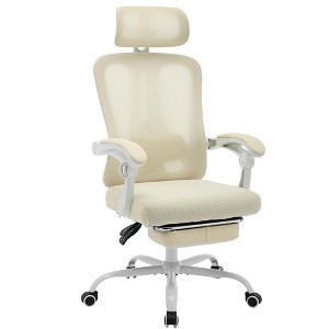 Home Office Desk Chair with Footrest, High-Back Mesh Swivel Chair with Adjustable Lumbar - 1 of 4