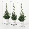 Artificial Potted Cypress Evergreen Trio Multicolor 12"H  Set of 3 - 4 of 4