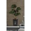 Realistic Bonsai Tree Indoor Outdoor - 36" Silk Plant with Decorative Pot - Timeless Tradition Home Decor - 4 of 4