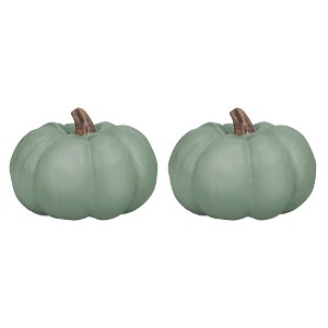 Elanze Designs Sage Green 6 inch Resin Harvest Decorative Pumpkins Pack of 2 - 1 of 1