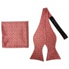 Men's Floral 2.75" x 4.75" Adjustable 16" - 20" Freestyle Self Tie with Hankie Set - 2 of 4