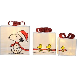 Peanuts Indoor Outdoor Holiday Lighted Presents Décor Snoopy And Woodstocks Characters - 1 of 4