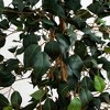 Nearly Natural 5.5-ft Ficus Tree with Bamboo Planter - 3 of 4