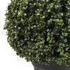 Nature Spring Realistic Plastic Faux Boxwood Topiary Arrangement for Indoor or Outdoor Use - Green - 4 of 4