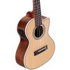 Alvarez Artist Tenor Acoustic-Electric Ukulele Natural - 3 of 3