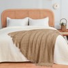 Inhand Knitted Gift Throw Blanket for Couch and Bed, 50"x60" Romatic Lightweight Decorative with Tassel, Farmhouse Warm Woven for Women - 3 of 4