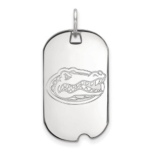 Black Bow Jewelry 14k White Gold Florida Gators NCAA Pendant - 1 of 3