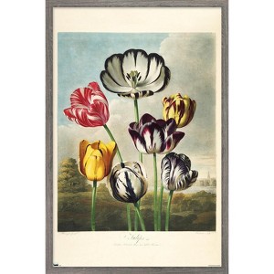 Trends International Tulips from the The Temple of Flora Framed Wall Poster Prints - 1 of 4