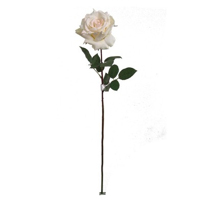 Floral Home 30" Champagne Queen Anne Rose - 12-Piece