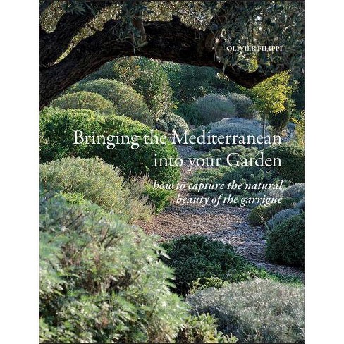 Bringing The Mediterranean Into Your Garden By Olivier Filippi Hardcover Target