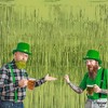 KatchOn, XtraLarge, Sage Green Foil Fringe Curtain - 3.2x8 Feet, Pack of 2 |Lime Backdrop for Frog Birthday Decorations - 4 of 4