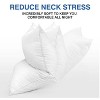 FAPO Goose Feather and Down Pillows Queen Size Set of 2 Luxury Hotel Bed Pillows with Cotton Cover - 2 of 4