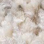 light gray, light brown