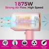 Hoey Professional Ionic Hair Dryer – 1800W Fast Drying, Low Noise Blow Dryer with 2 Concentrators and 1 Diffuser, for Home, Salon, and Travel - 2 of 4