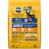 Pedigree Roasted Chicken and Vegetable Flavor Adult Dry Dog Food - 2 of 4