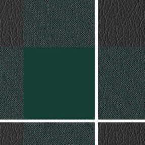 michigan state spartans