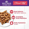 Wellness Grain-Free Wet Canned Cat Food – Sliced Salmon Entrée, 3 oz Cans – Case of 24 - 2 of 4