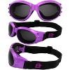 3 Pairs of Birdz Eyewear Eagle Safety Motorcycle Goggles with Clear, Smoke, Blue Lenses - 4 of 4