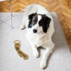Pavilion Gift Company - California - 12" Canvas Dog Toy with Rope - Pet Toy - 2 of 4