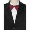 INSPIRE CHIC Men's Solid Color Satin Large Bow Tie 1 Pcs - 4 of 4