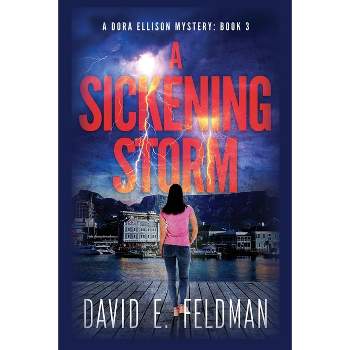 A Sickening Storm - Dora Ellison Mystery Book 3 - by  David E Feldman (Paperback)