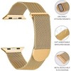 Worryfree Gadgets Metal Mesh Magnetic Dressy Band for Apple Watch - Two Color Option - 2 of 4