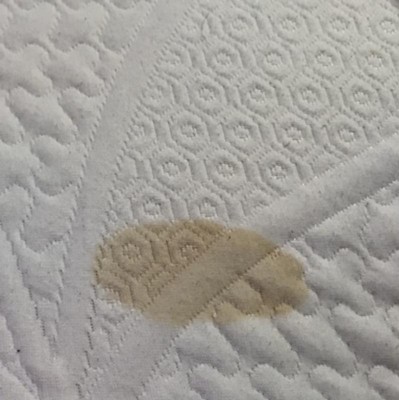 Guest review image 3 of 3, zoom in