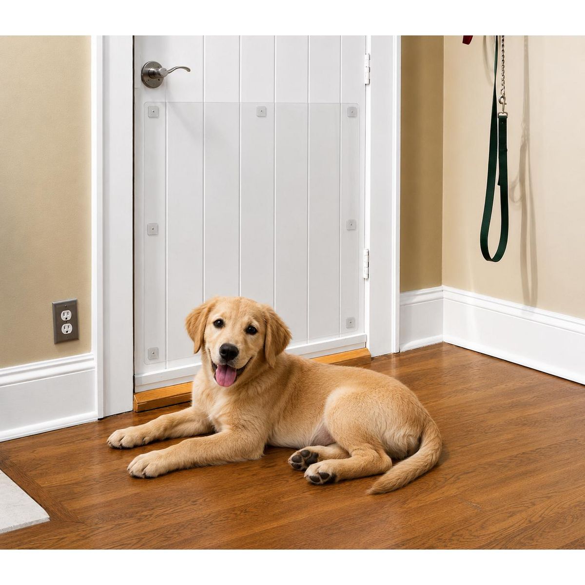 Cardinal Gates Door Shield Clear Door Protector for Dogs & Cats, Protects Doors from Scratching, Claw Marks & Paw Damage, Easy Install, Made in USA