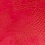 diva red