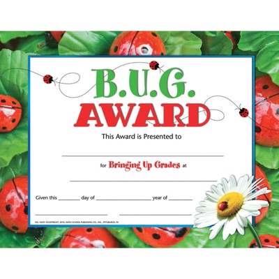 Hayes Publishing B.U.G. Award Certificate, Pack of 30, 8.5" x 11" (Case of 4)