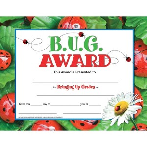 Hayes Publishing B.U.G. Award Certificate, Pack of 30, 8.5" x 11" (Case of 4) - 1 of 1