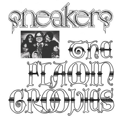 Flamin' Groovies - Sneakers - Blue (vinyl) : Target