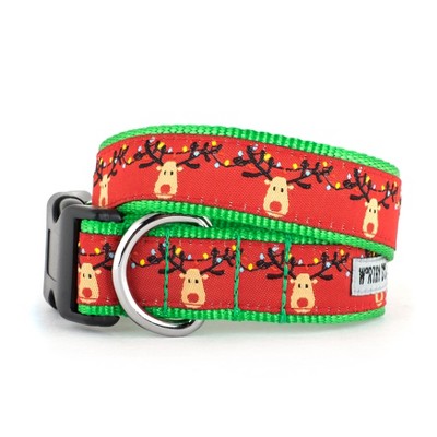 zoofari dog collar and lead