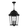 Livex Lighting Hamilton 3 - Light Pendant in  Textured Black - 3 of 4