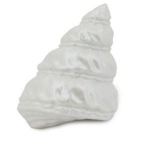 Collectible Wildlife Gifts | Turban Shell, Pearlized Wavy Turban Shell, Tectus fenestratus, Sea Life, Plastic,  Animal, Gift,  2"  F4111 B96 - 1 of 4