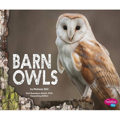  Barn Owls - by  Melissa Hill (Paperback) 