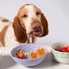 AWOO Wobbowl Silicone Activity & Slow Dog Feeding Mat - 4 of 4