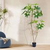 Acekool Artificial Umbrella Tree, Faux Pachira Money Tree with Realistic Leaves and Natural Trunk, Tall Indoor Plant for Home, Office, Living Room - 3 of 4
