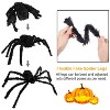 iMountek"59-inch Halloween Poseable Spider with 126-inch Mega Web, Creepy Outdoor Yard Decoration"Black&White - 3 of 4